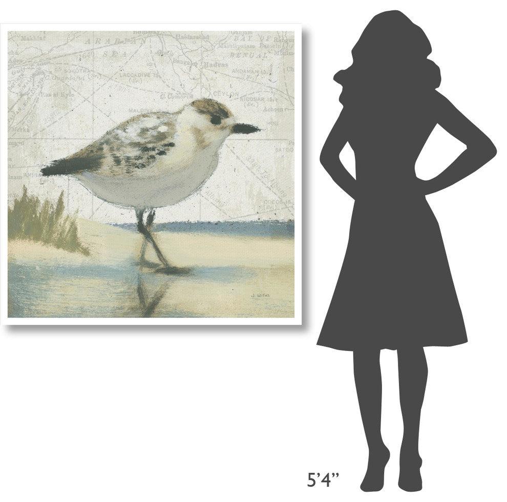 "Beach Bird I" Digital Paper Print by James Wiens, 42"x42"