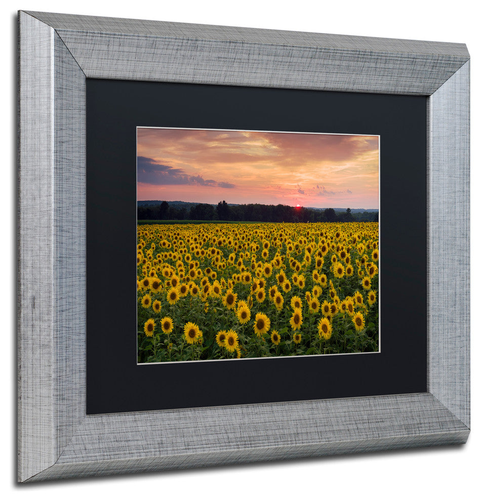 Blanchette Photography 'Sunflower Taps', Silver Frame, Black Matte, 14"x11"