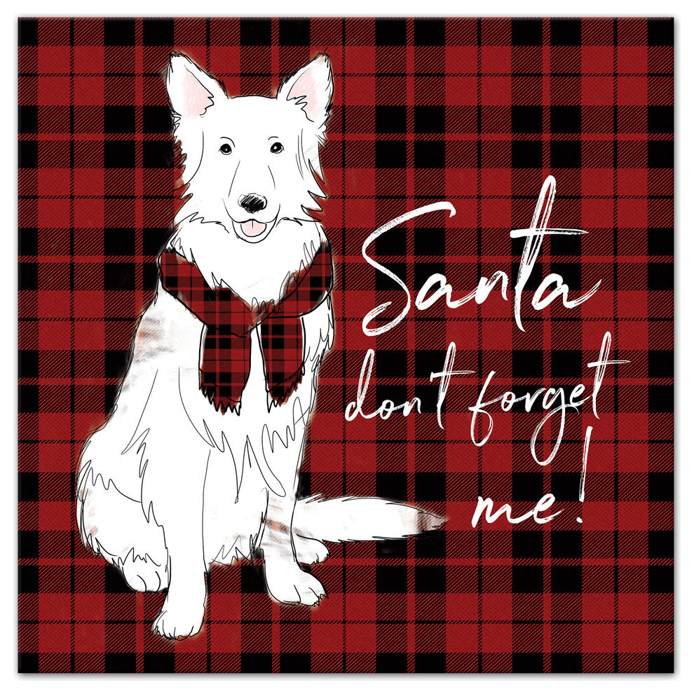 Santa Don't Forget Me Canvas Wall Art, 16"x16"