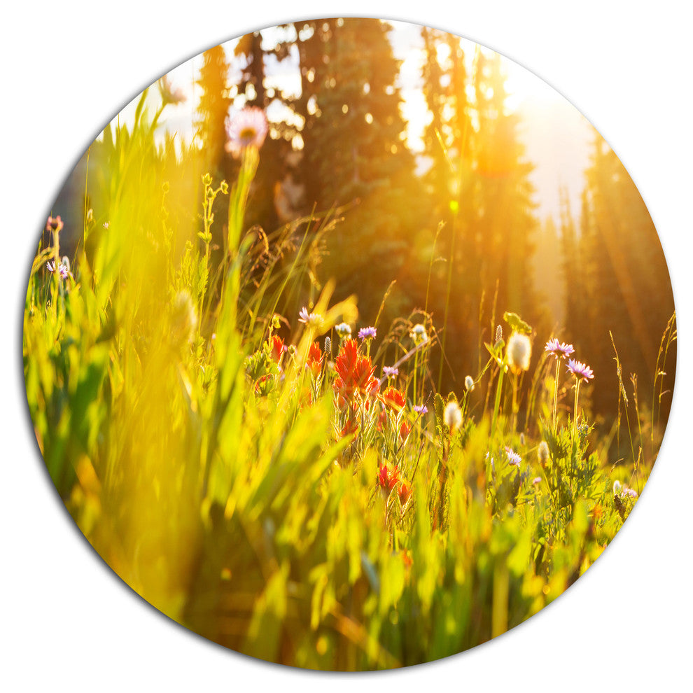 Green Meadow With Summer Flowers, Flower Large Disc Metal Wall Art, 36"