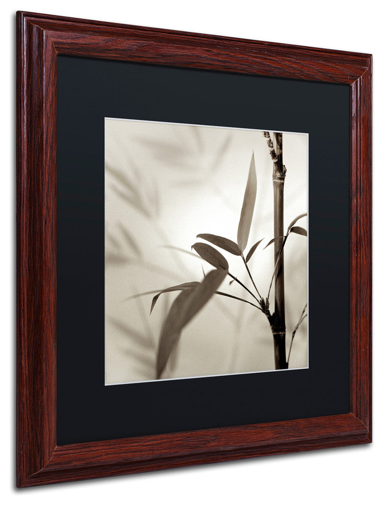 Alan Blaustein 'Florison 64' Art, Wood Frame, Black Mat, 16x16