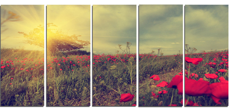 Vintage Photo of Poppies at Sunset, Large Floral Canvas Print, 60"x28", 5 Panels