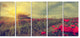 Vintage Photo of Poppies at Sunset, Large Floral Canvas Print, 60"x28", 5 Panels