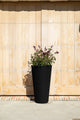 Veradek Demi Series Tall 26" Planter, Black, 2 Pack