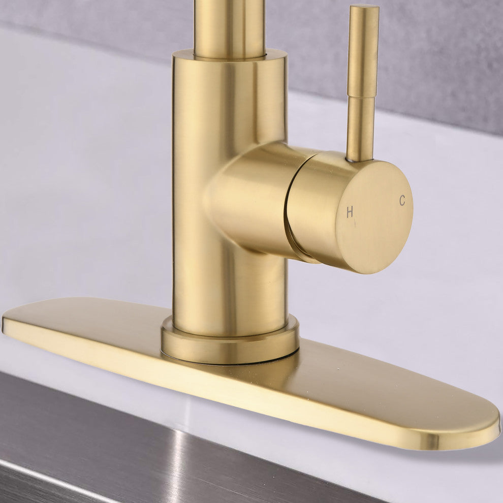 Single Handle Deck Mounted High Arc Pull Down Kitchen Faucet with Sprayer, Brush