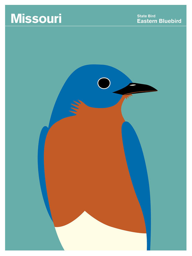 Missouri Eastern Bluebird Print