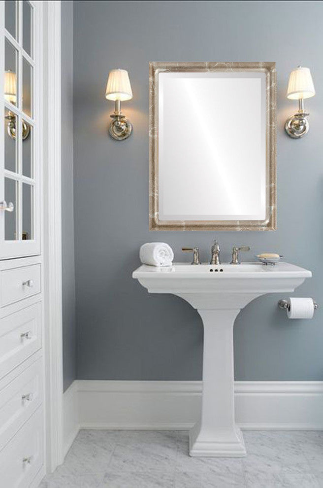 Pasadena Framed Rectangle Mirror, Champagne Silver, 21"x25"