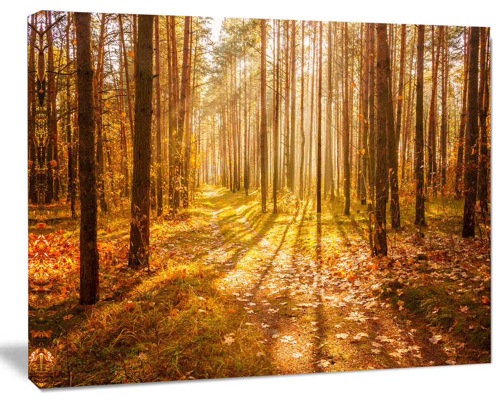 Bright Sunlight in Yellow Fall Forest, Modern Forest Canvas Art, 60"x28"