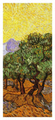 "Olive Trees With Yellow Sky And Sun (right)" Print by Vincent van Gogh, 21"x46"