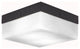 10" 2-Light Flush Mount Light, Matte Black/White Marble