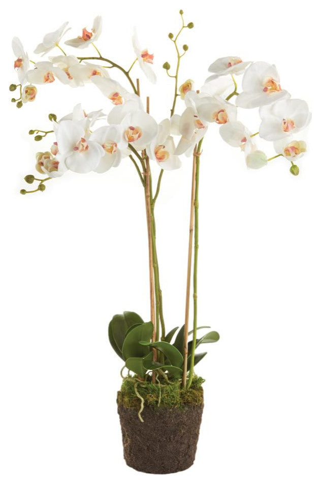 Double Stem White Phalaenopsis Orchid Faux Flower Artificial Plant Drop In