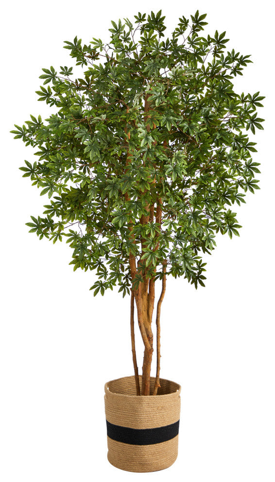 T2900 6 Japanese Maple Artificial Tree in Handmade Natural Cotton Planter