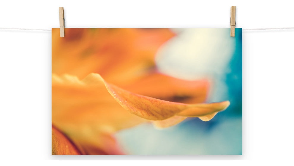 Serene Petals of Life Floral Nature Photography Unframed Wall Art Print, 12" X 18"