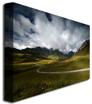 'Dark Green' Canvas Art by Philippe Sainte-Laudy