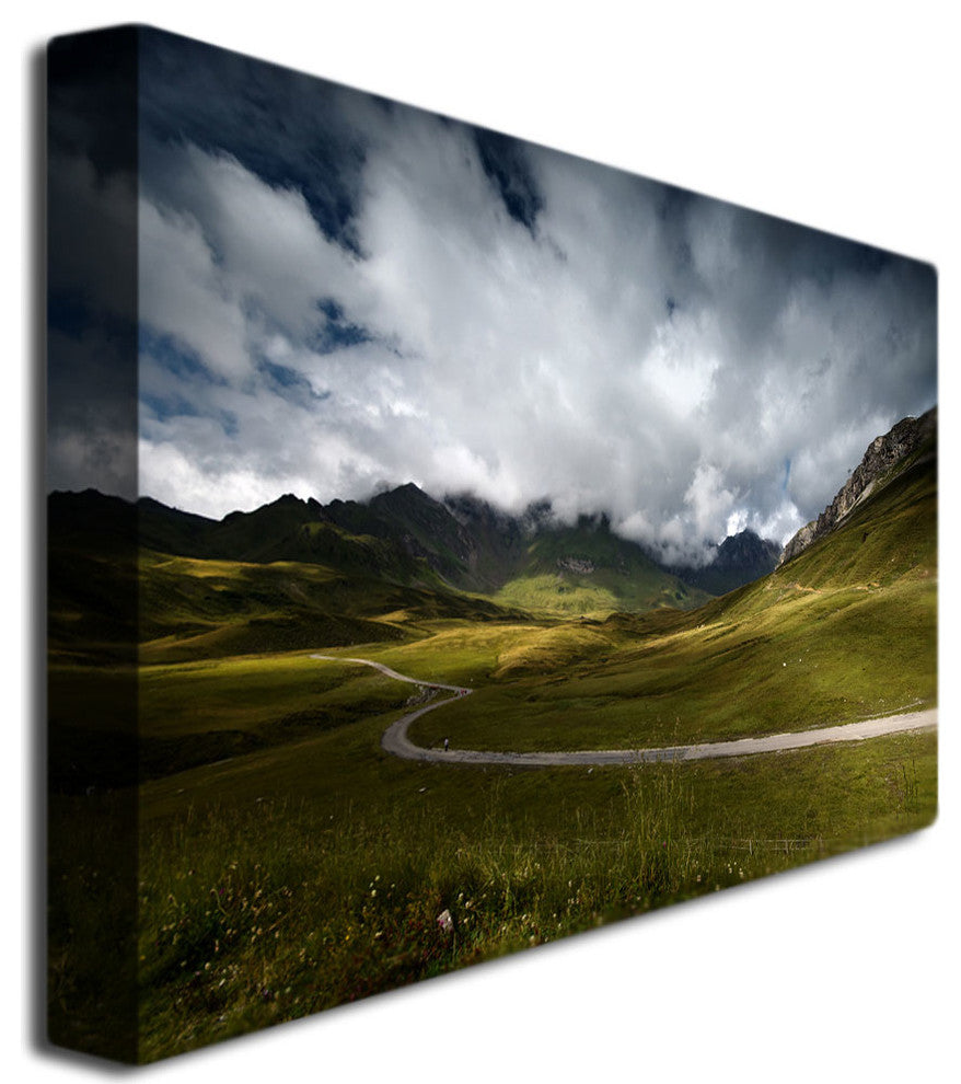 'Dark Green' Canvas Art by Philippe Sainte-Laudy