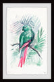 "Blissful Bird" Framed Painting Print, 20"x30"