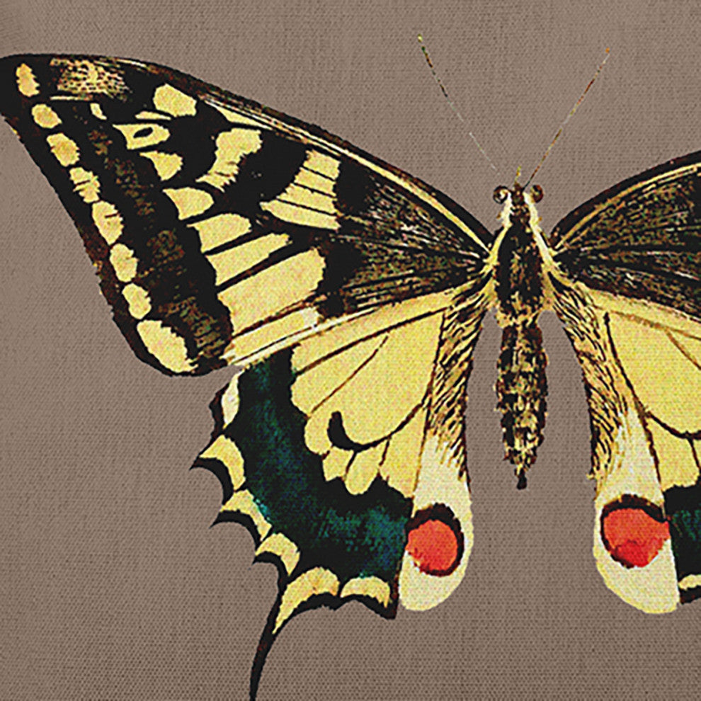 Rare Swallowtail Polyester Indoor Pillow, Ginger Snap Brown, 14"x20"