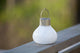 Solar Glass Tea Lantern, White