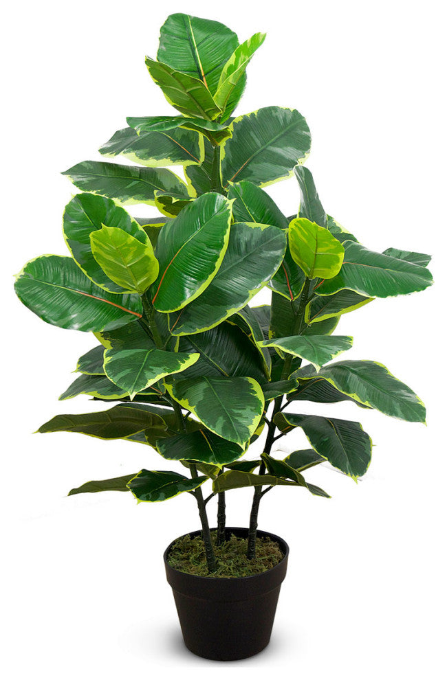 Faux Botanical Ficus Elastica in Green Finish 35 Inch Height