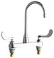 Chicago Faucets 1100-GN2AE35-317AB Hot and Cold Sink Faucet