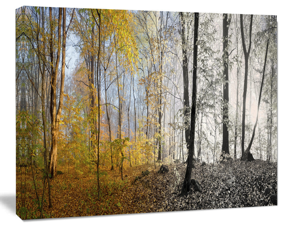 Yellow Morning in Forest Panorama, Landscape Canvas Art Print, 20"x12"
