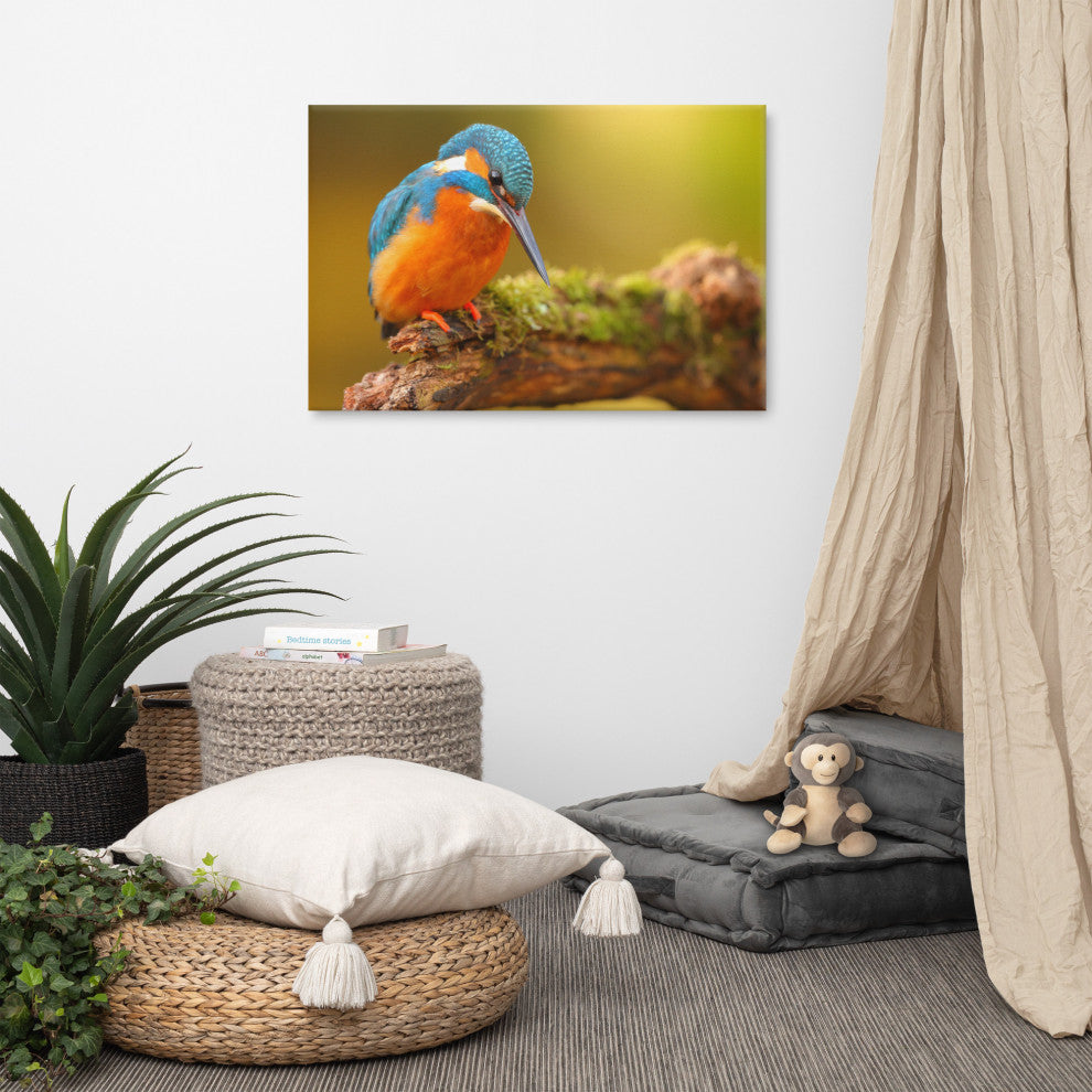 Kingfisher Bird on Perch 2 Animal Wildlife Photo Canvas Wall Art Prints, 24" X 36"