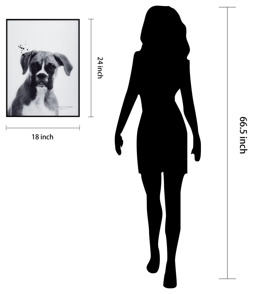 "Boxer" Black and White Pet Art on Printed Glass Encased with Anodized Frame