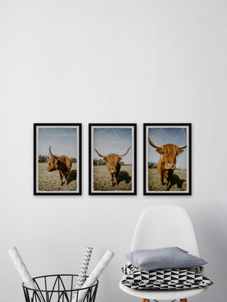Sweeping Horns Triptych, Set of 3, 12x18 Panels