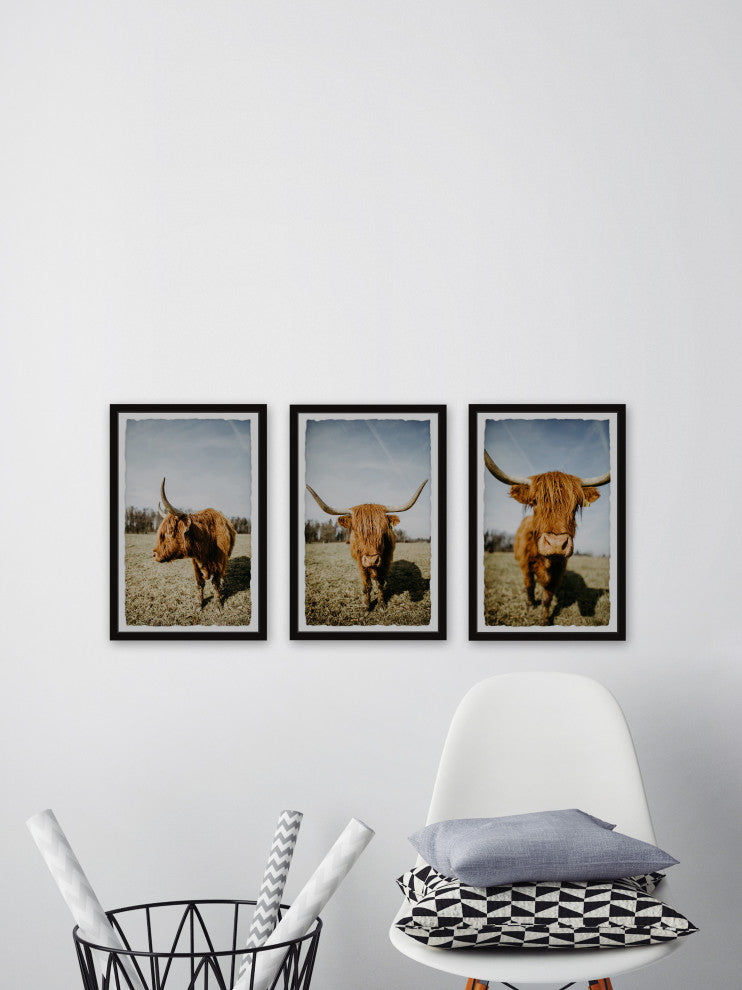 Sweeping Horns Triptych, Set of 3, 12x18 Panels