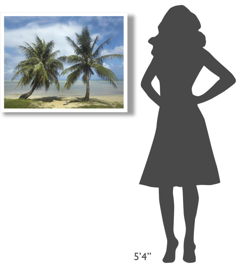 "Palm trees, Agana Beach, Guam" Digital Paper Print by Tim Fitzharris, 34"x26"