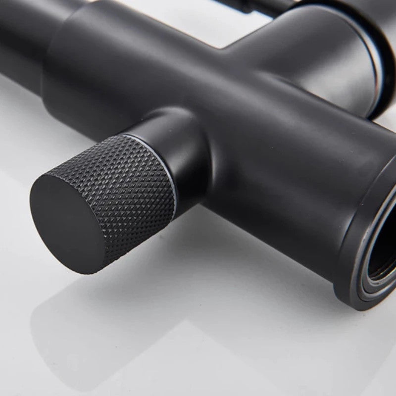 Solid Brass Matte Black Kitchen Faucet With Filtered Water Tap