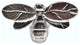 Bee Cabinet Knob, Nickel
