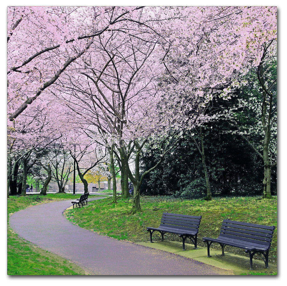 CATeyes 'Spring Path' Canvas Art, 35x35
