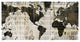 "Crate World Map Neutral" Digital Paper Print by Sue Schlabach, 50"x26"