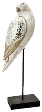 Shellback Sea Bird