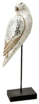 Shellback Sea Bird