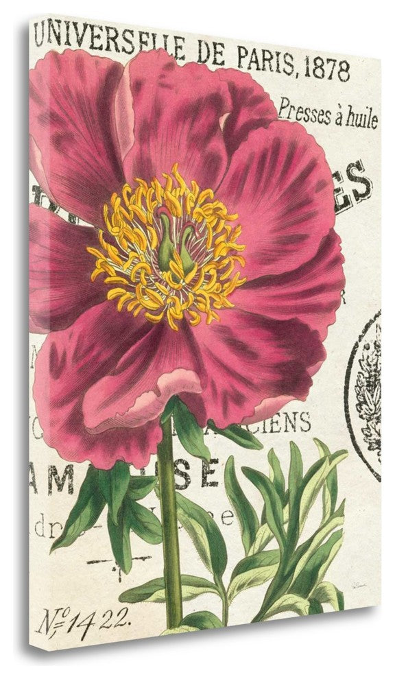 "Peony Botany" By Sue Schlabach, Giclee Print on Gallery Wrap Canvas