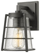 Zlite 591S-BK 1-Light Outdoor Wall Sconce, Clear Seedy