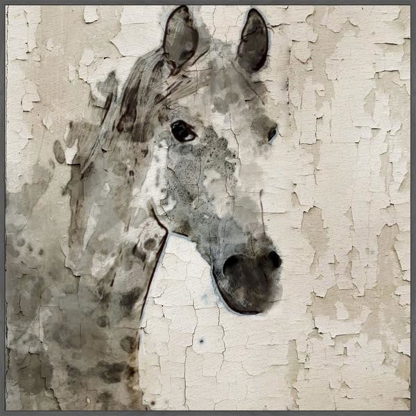 "Glaeta Horse" Floater Framed Painting Print on Canvas, 24"x24"