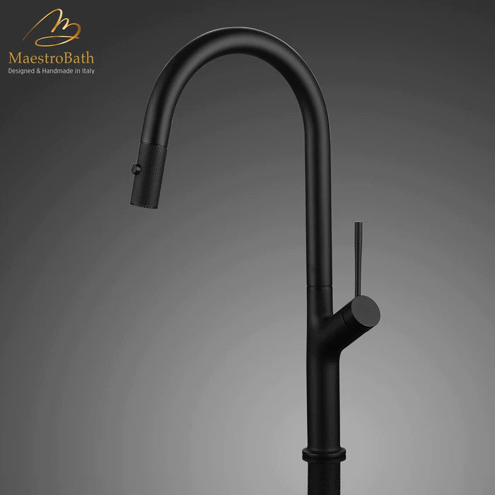 Elisa Modern Kitchen Faucet With 2 Jets, Black