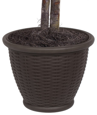 Close-up of the pot on white background; cropped/zoomed view classified as alternate_white_close.