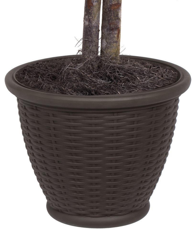 Close-up of the pot on white background; cropped/zoomed view classified as alternate_white_close.