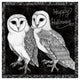 "Arsenic and Old Lace Happy Halloween" Paper Print by Elyse DeNeige, 32"x32"