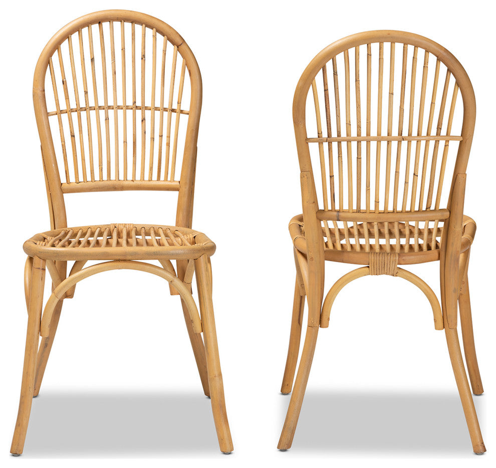 Wina Modern Bohemian Natural Brown Rattan 2-Piece Dining Chair Set