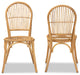 Wina Modern Bohemian Natural Brown Rattan 2-Piece Dining Chair Set