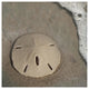"Sand Surf Sand Dollar" Digital Paper Print by Sue Schlabach, 32"x32"