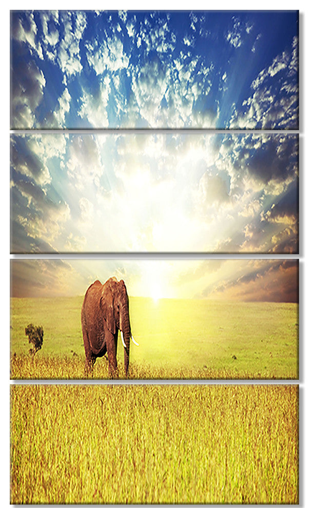 Savannah Elephant in Grassland, African Canvas Print, 28"x48", 4 Panels