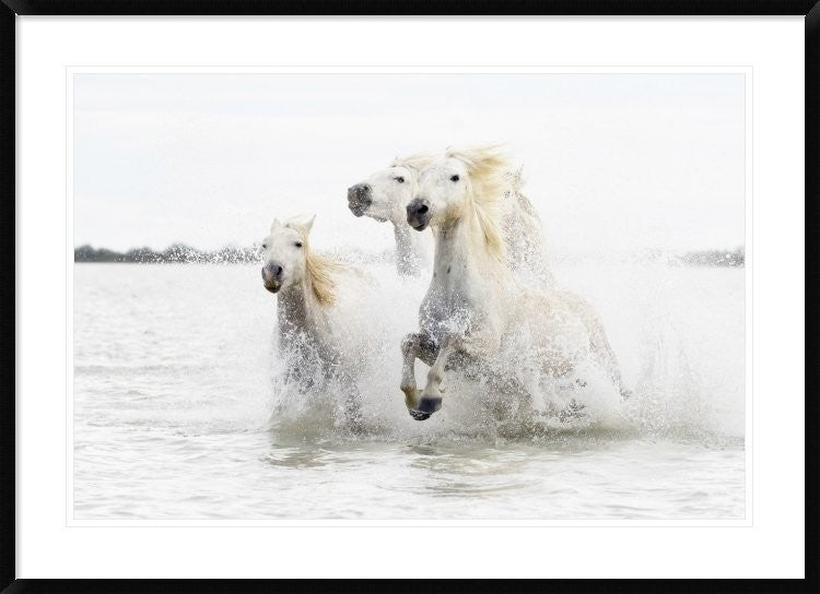 "Horses Hight Key" Framed Digital Print by Ciro De Simone, 44x32"