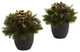Pine and Berries With Black Planter, Set of 2