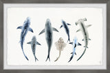 "Shark Types II" Framed Painting Print, 18"x12"